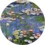 Expanish Spanish School Buenos Aires Testimonial Ebticem M.png
