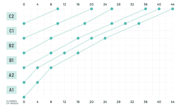 Level Progress Chart