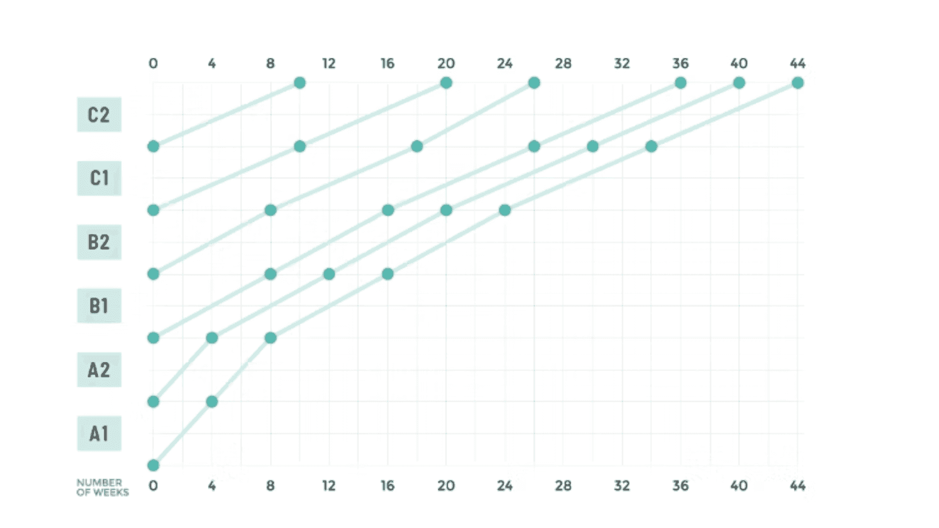 Academic levels