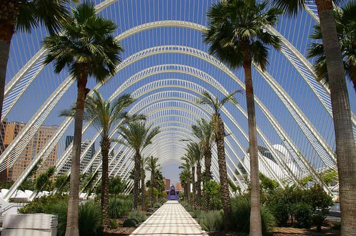 valencia 7.jpg