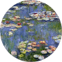 Expanish Spanish School Buenos Aires Testimonial Ebticem M.png