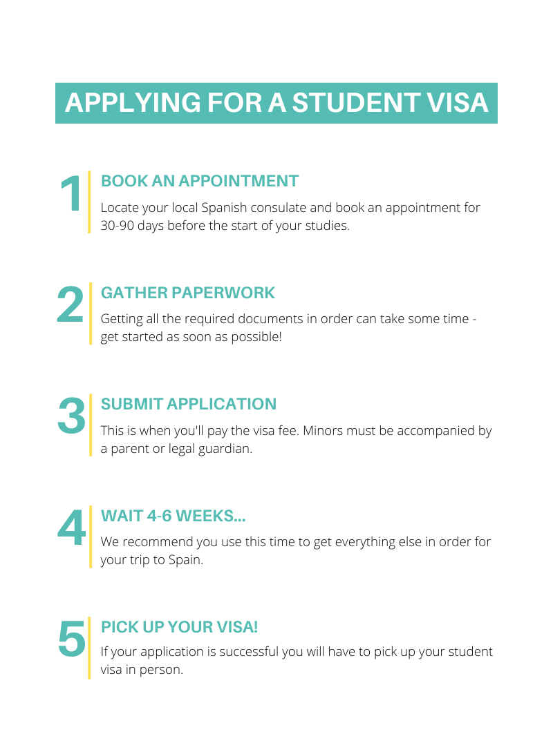 spain student visa application snapshot