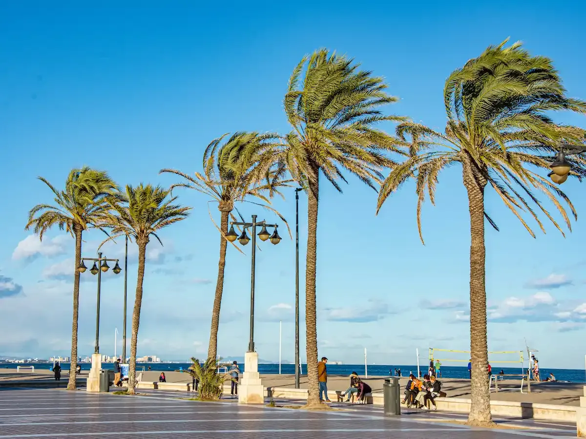 Study Abroad Summer Program in Valencia