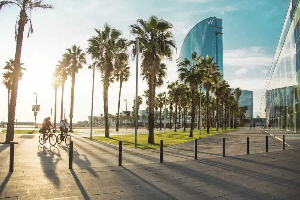 Study Abroad in Barcelona