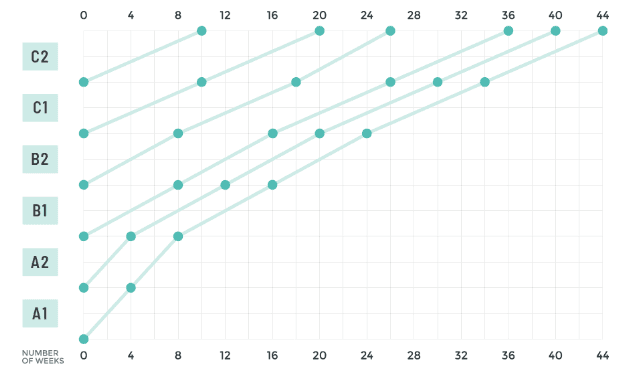 Level Progress Chart