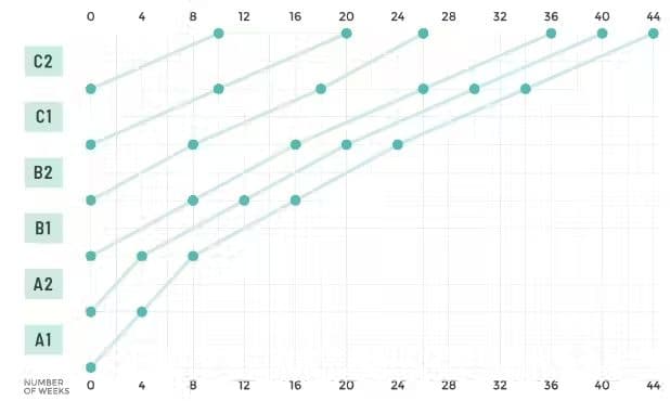 Estimated timeframes for achieving higher Spanish proficiency