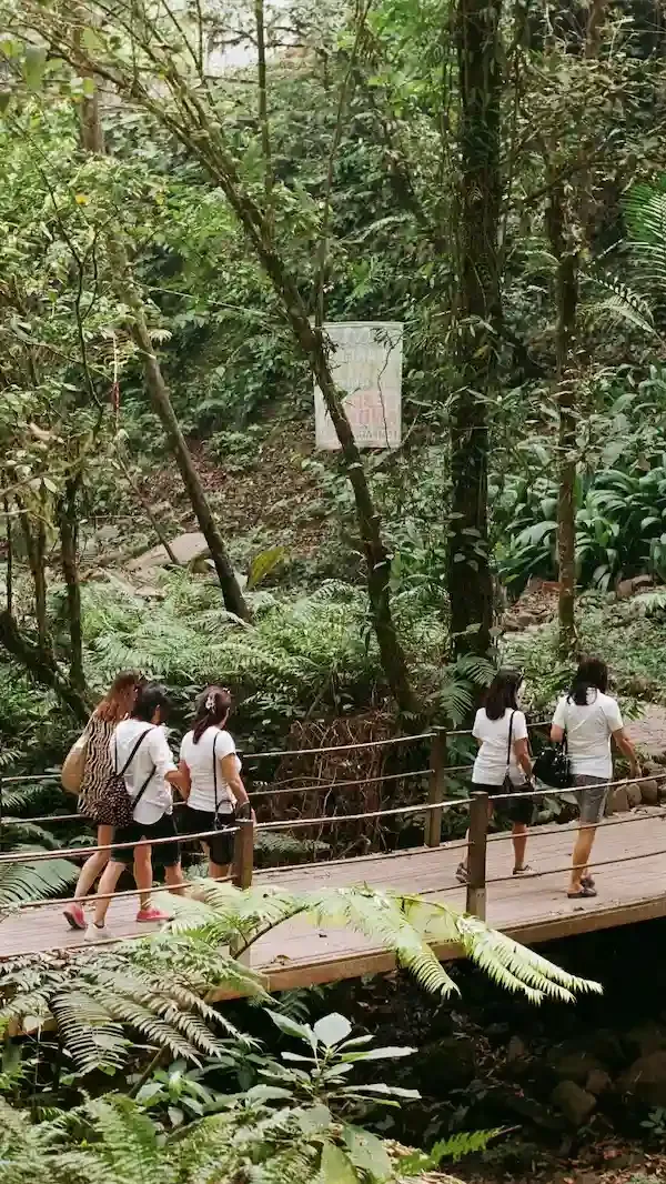 Sustainable Coffee Farm Visit