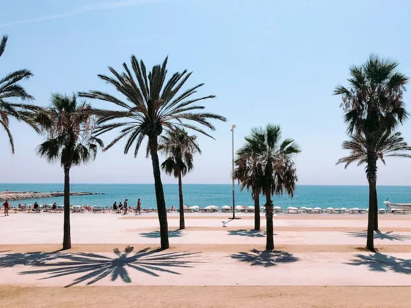 Summer Study Abroad in Barcelona | All Programs